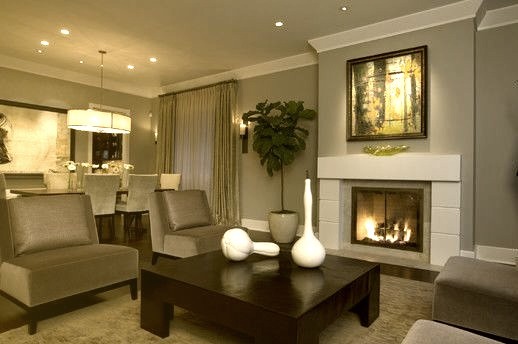 Honore Transitional Living Room Dining Room